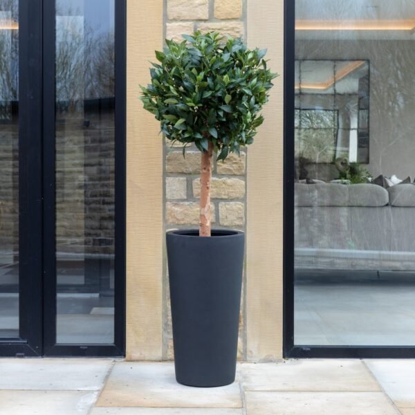 Artificial Laurel Bay Tree - Image 2