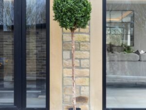 Artificial Buxus Ball Topiary Tree